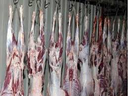 إغلاق مسلخ بلدية المفرق بعد تسجيل إصابات موظفين بكورونا