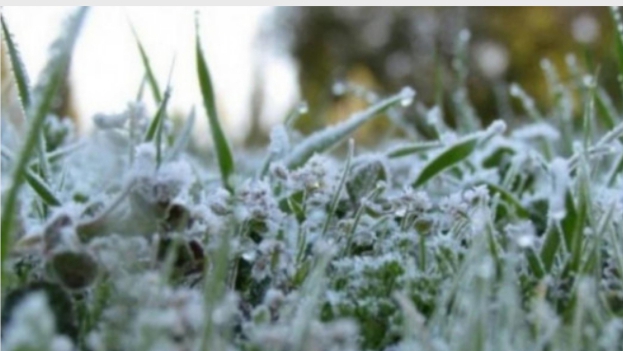 زراعة المفرق تشكل غرفة طوارئ لمتابعة أحوال المزارعين