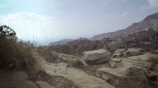 محمية ضانا تدعو إلى وقف الصيد لحماية الطيور المهددة بالانقراض