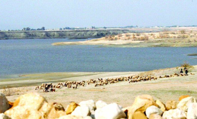 الحكومة توضح حول المشاريع الاستثمارية في سد الكرامة