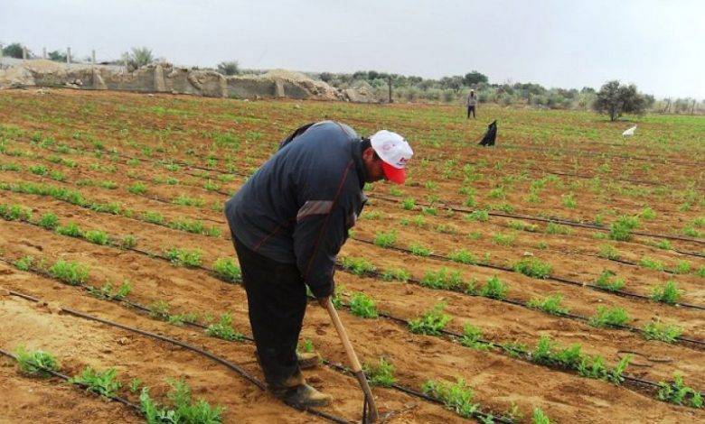 بعد تجاهل الحكومة لمطالبهم.. المزارعون يلجأون للملك