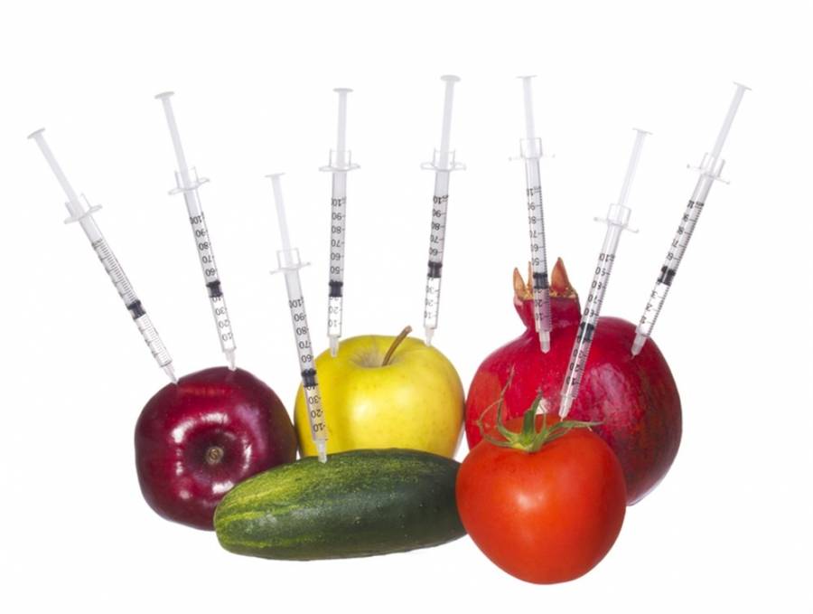 الدعوة لزيادة الوعي بالمحاصيل المعدلة وراثيا