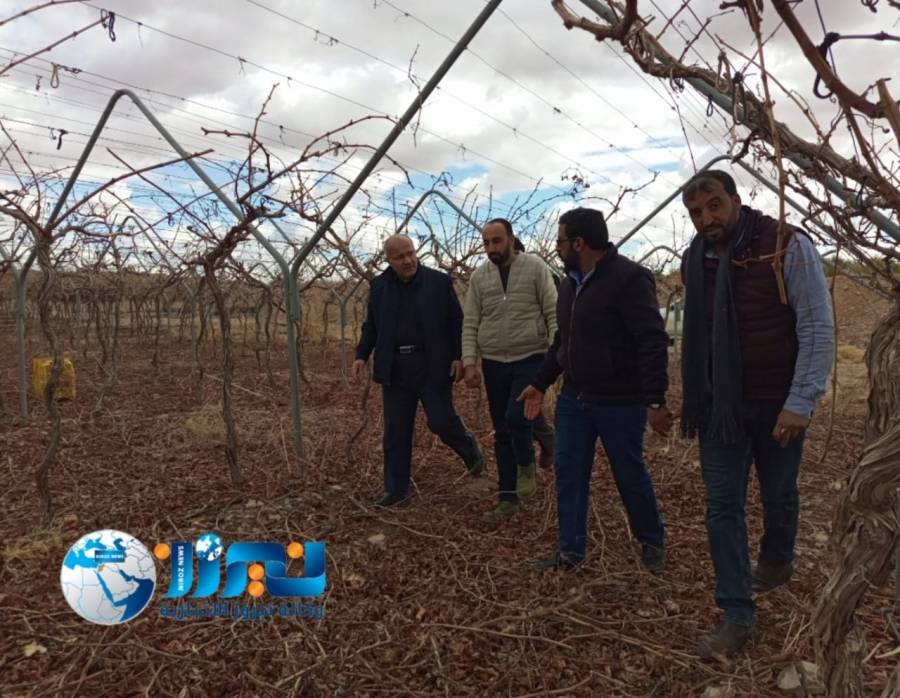البادية هي مستقبل الأمن الغذائي والاقتصادي... صور وفيديو