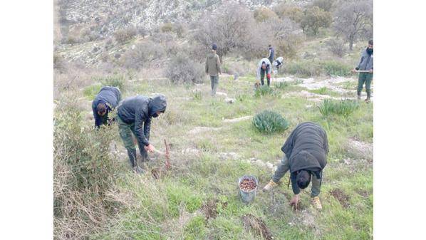 تشغيل 2064 عاملا في مشروع تحسين البنية التحتية الخضراء بالاردن منذ 2018