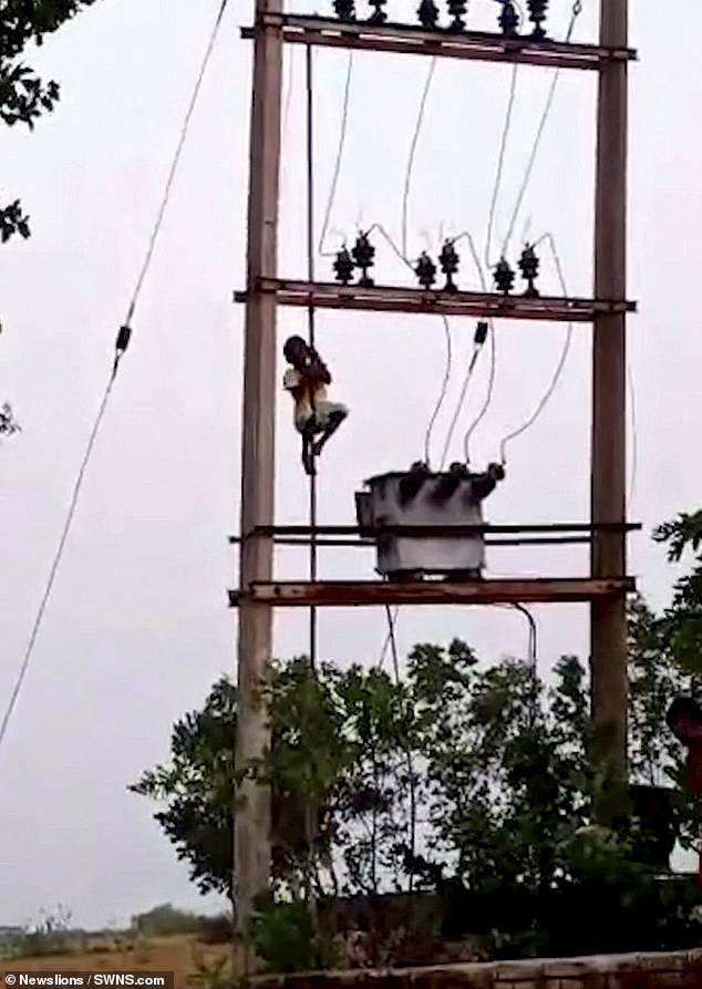 الجبور محذرًا من تسلق الأعمدة الكهربائية لوضع صور المترشحين عليها