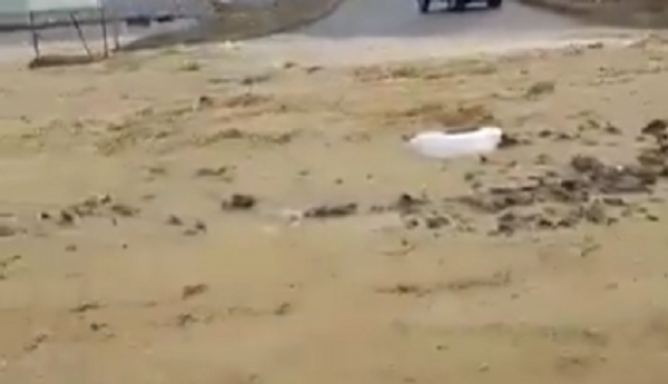 سيول وأمطار غزيرة في القويرة