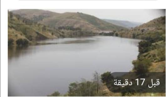 المياه تؤكد استمرار عمليات تنظيف بحيرة سد الملك طلال