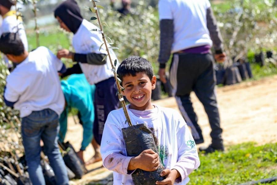 المليون شجرة في فلسطين