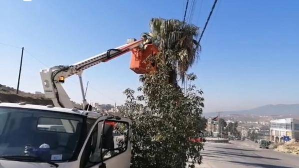 حملة لتقليم الأشجار المتداخلة مع الكهرباء ببيرين