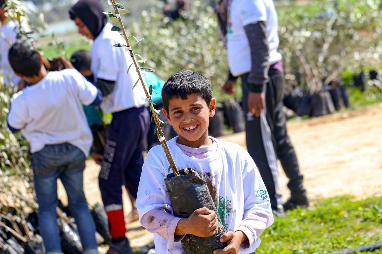 المليون شجرة في فلسطين وكالة نيروز الاخبارية