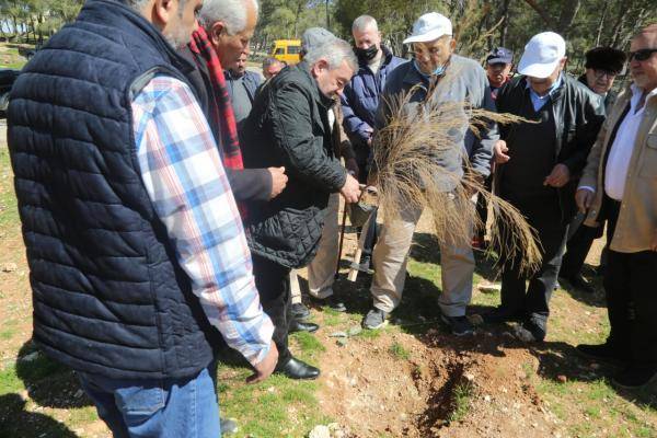 الأمانة تعتزم زراعة 3 الاف شجرة