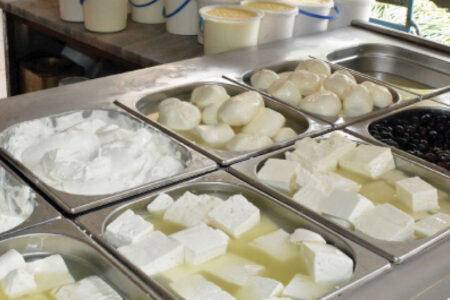 “مربي الأبقار” تحذر من ارتفاع أسعار الألبان والأجبان في الأردن _وثيقة