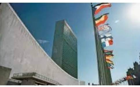 الأمم المتحدة تطلق ملخص سياسة نحو تنفيذ الأمن الغذائي في الأردن