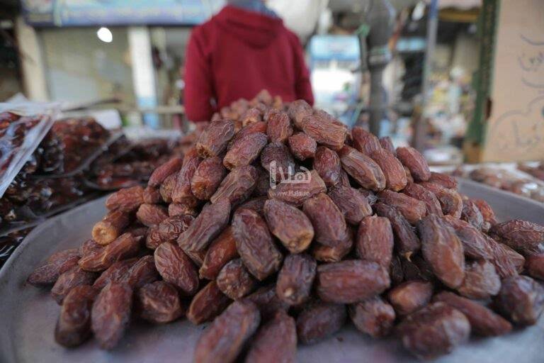 ارتفاع الطلب العالمي على التمور الاردنية 50 