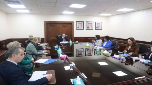 وزير الصحة يلتقي مساعدة مدير عام الصحة العالمية