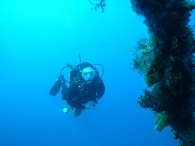 ورشة عمل تناقش تطبيق تعليمات السماح بإدخال أجهزة الغوص إلى العقبة