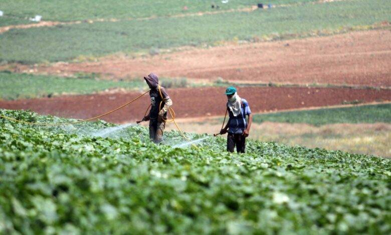 وزير زراعة أسبق: “حورِبنا في قُوتِنا”