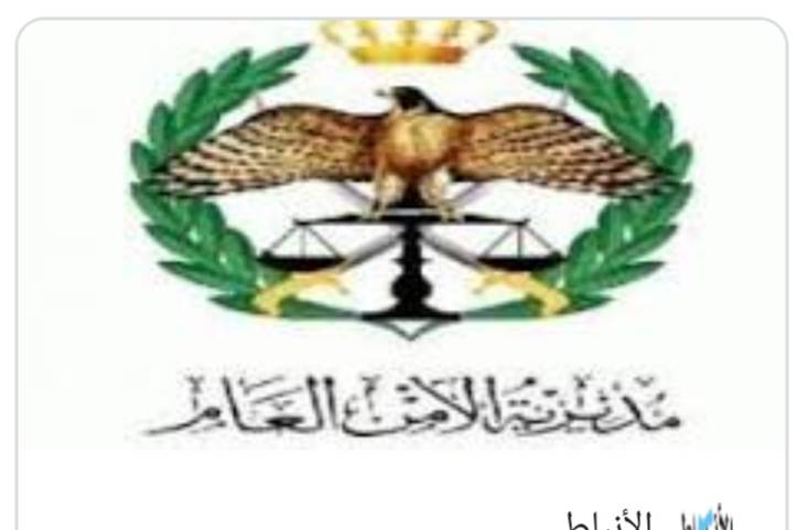 مديرية الأمن العام تعلن الإحصاءات الجرمية والجهد المبذول خلال شهر شباط