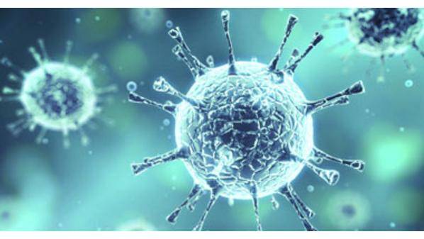 كوريا الجنوبية تسجل رقما قياسيا تــجــاوز 266 ألــف إصــابــة بكـورونـــا