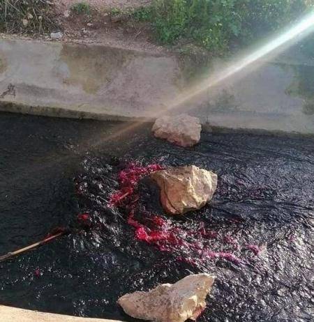 متصرف الكورة: برميل شامبو وراء تغير لون مياه في جديتا إلى الأحمر