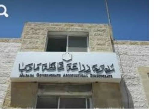 زراعة مأدبا تبدأ بتحريج 650 دونما