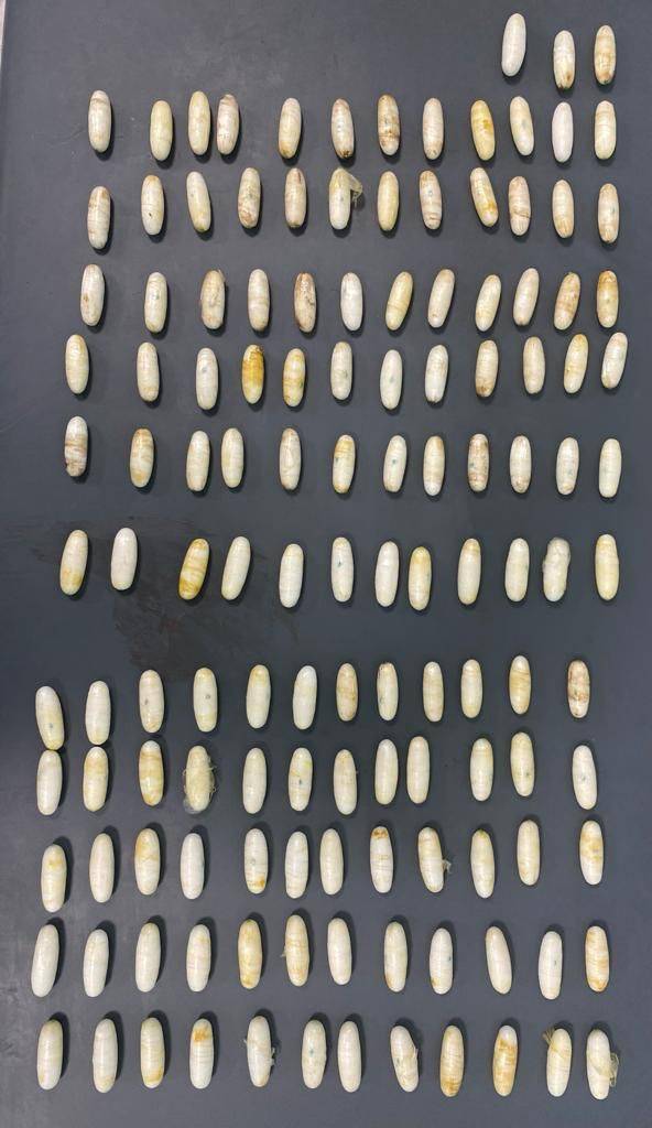 مكافحة المخدرات تحبط تهريب 2 كغم من الكوكايين داخل أحشاء شخصين من جنسية أجنبية ...صور