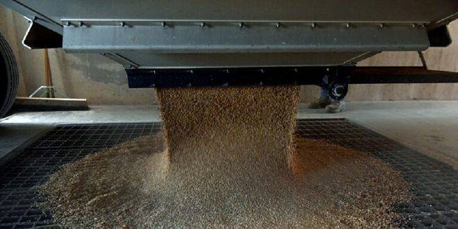 روسيا تحظر تصدير الحبوب حتى الـ 31 من آب المقبل