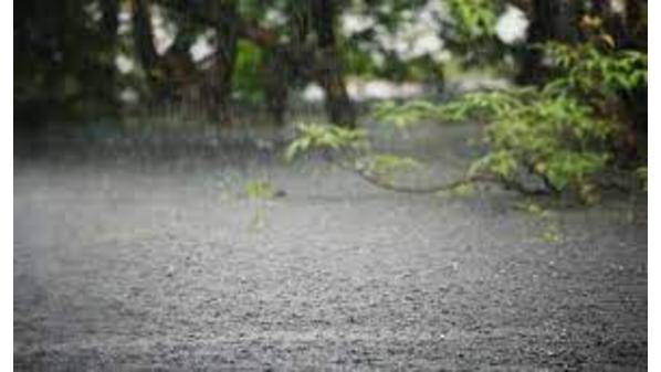 الامطارالاخيرة تعدل الموسم المطري بنسب تراوحت ما بين (16)