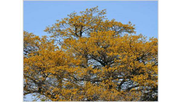 روسيا تعلق على إرسال قوات حفظ سلام إلى أوكرانيا