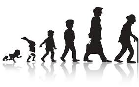 دراسة: الظروف الباردة قد تطيل العمر الافتراضي