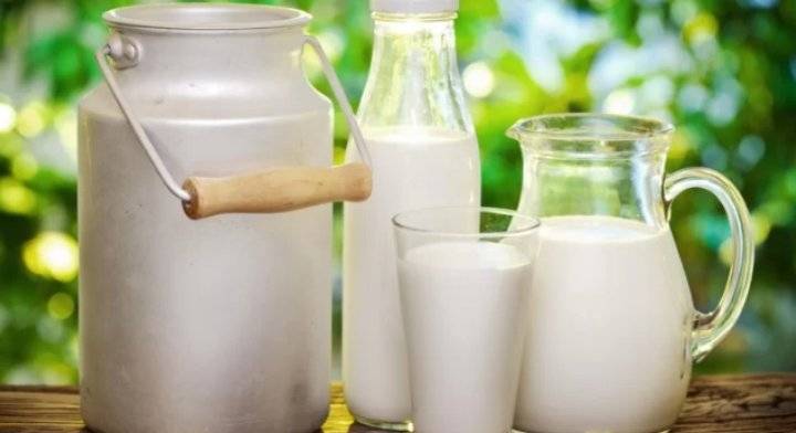 رفع سعر الحليب الطازج إلى 55 قرشا للكيلو الواحد