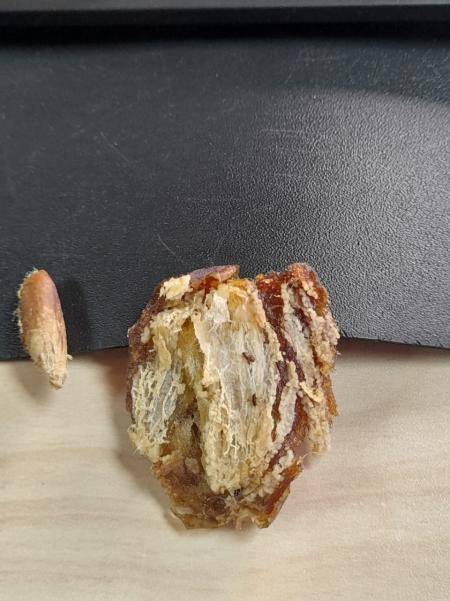 الغذاء والدواء: فحص عينات تمور أظهرت وجود حشرات بنسب مقبولة