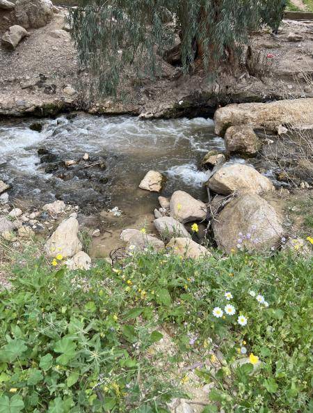 السفير السعودي يزور وادي شعيب