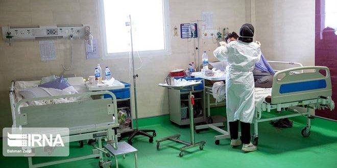 أكثر من 250 إصابة جديدة بكورونا في العراق