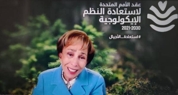 الأميرة بسمة تدعو إلى تعاون دولي وإقليمي لإصلاح النظم البيئية