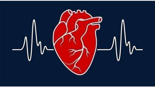 دراسة تكشف السبب الجذري لقصور القلب