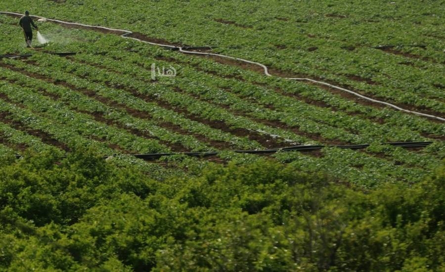 الزراعة” توقع 80 اتفاقية لدعم مشاريع ريادية في الموجب