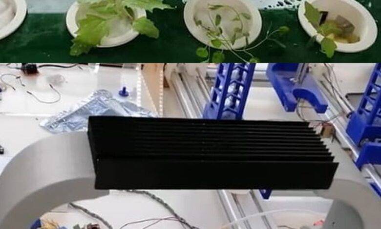 أردني ينجح في توفير حاضنة للنباتات للتكيف مع الأجواء الأردنية – صور