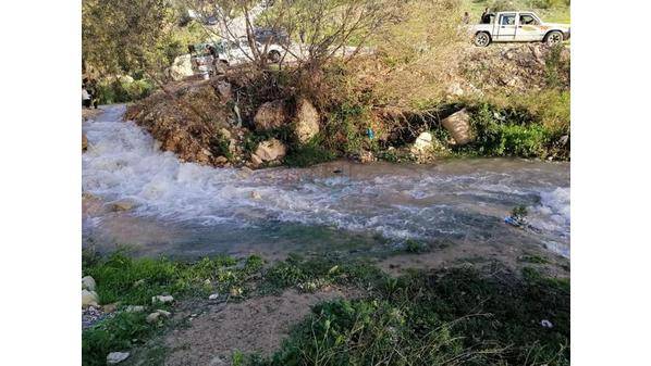 عجلون: أمطار آذار تحسن جودة الموسم المطري