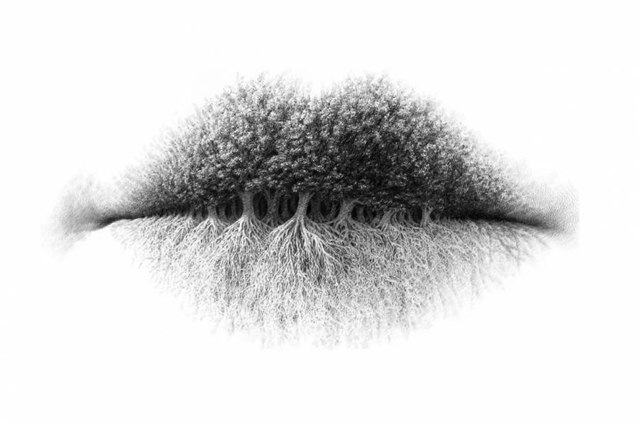 تكشف شخصيتك ... تعرف على تفسير ما رأيته