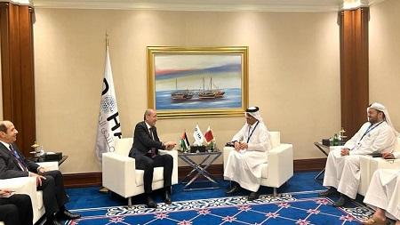 الصفدي ونظير القطري: احترام السيادة ركيزة للاستقرار