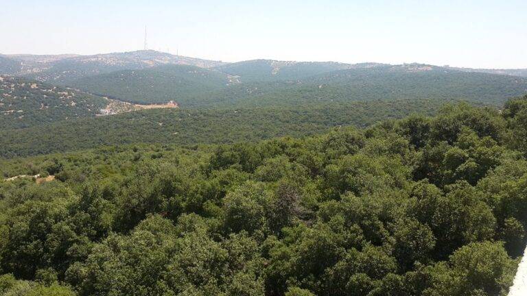 فرص استثمارية ضمن الخطة الوطنية للزراعة المستدامة