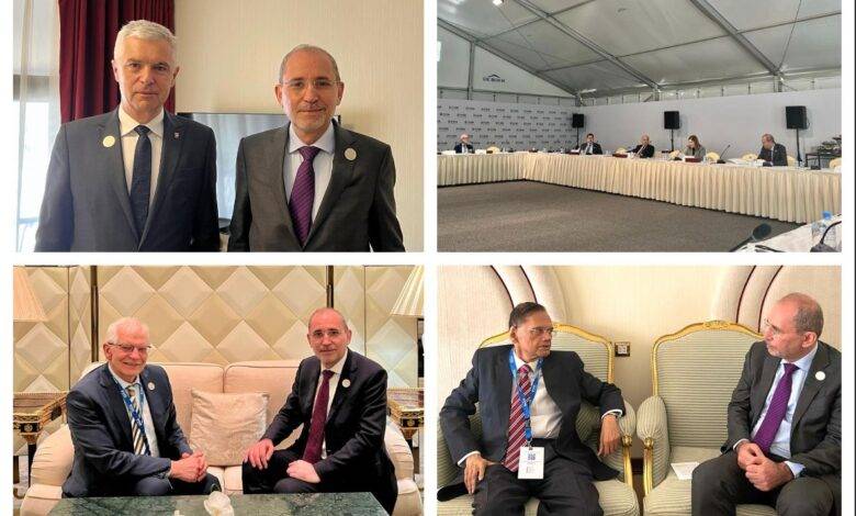 الصفدي: لا يمكن القفز فوق القضية الفلسطينية