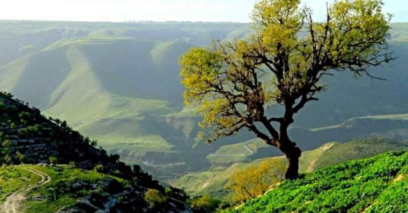 تفاصيل حالة الطقس حتى منتصف الأسبوع القادم