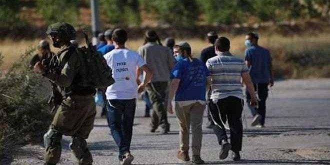 إصابة فلسطيني جراء اعتداء مستوطنين عليه في أريحا