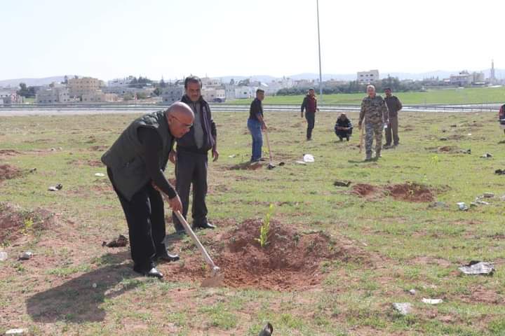 بلدية الموقر تزرع اشجار حرجية في ميدان الشيخ محمد الزهير.
