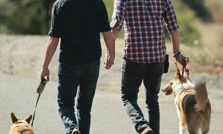 شروط جديدة لاقتناء الكلاب في عمّان (تفاصيل)