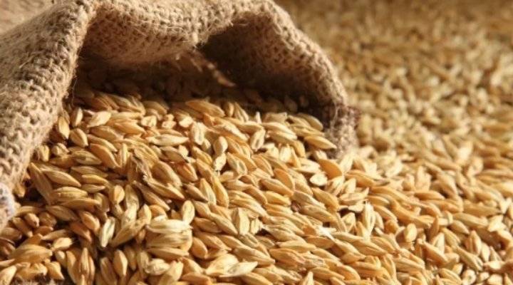 الحكومة تضبط جاروشة تتاجر بالأعلاف المدعومة