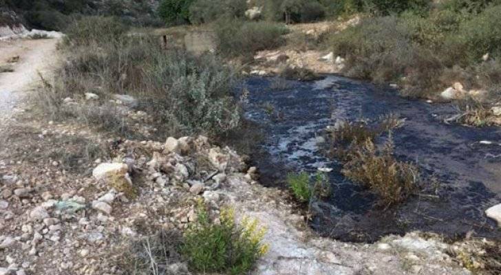 الأردن: مياه “الزيبار” تصل إلى 200 ألف متر مكعب سنويا