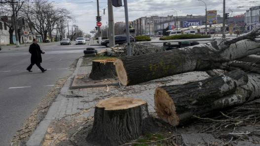 وزير الزراعة الأوكراني يأمل بأن تتمكن بلاده من تصدير الحبوب
